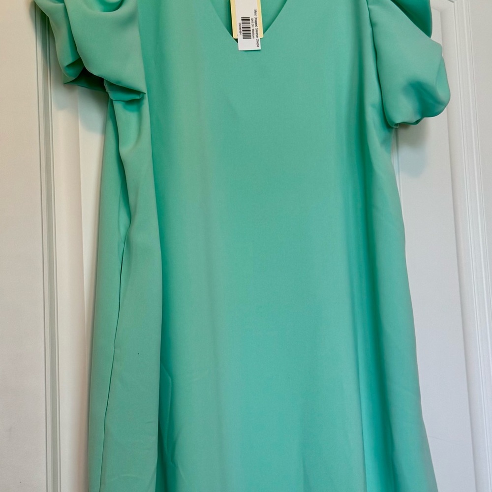 JODIFL Mint Draped Sleeve V-Neck Dress